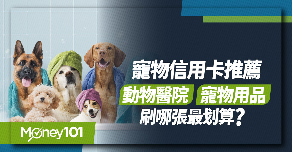 2026寵物信用卡推薦：寵物公園、動物醫院、寵物用品刷哪張最划算？